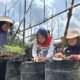 Kisah Chaidir Saleh, Beri “Sentuhan” Manisnya Melon Premium untuk Petani Milenial
