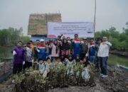 Tanam Mangrove