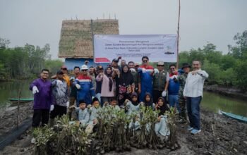 Tanam Mangrove