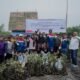 Peringati Hari Mangrove Sedunia, Pertamina EP Pangkalan Susu Tanam 2.500 Bibit Bakau