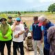 Serangan Hama Tikus
