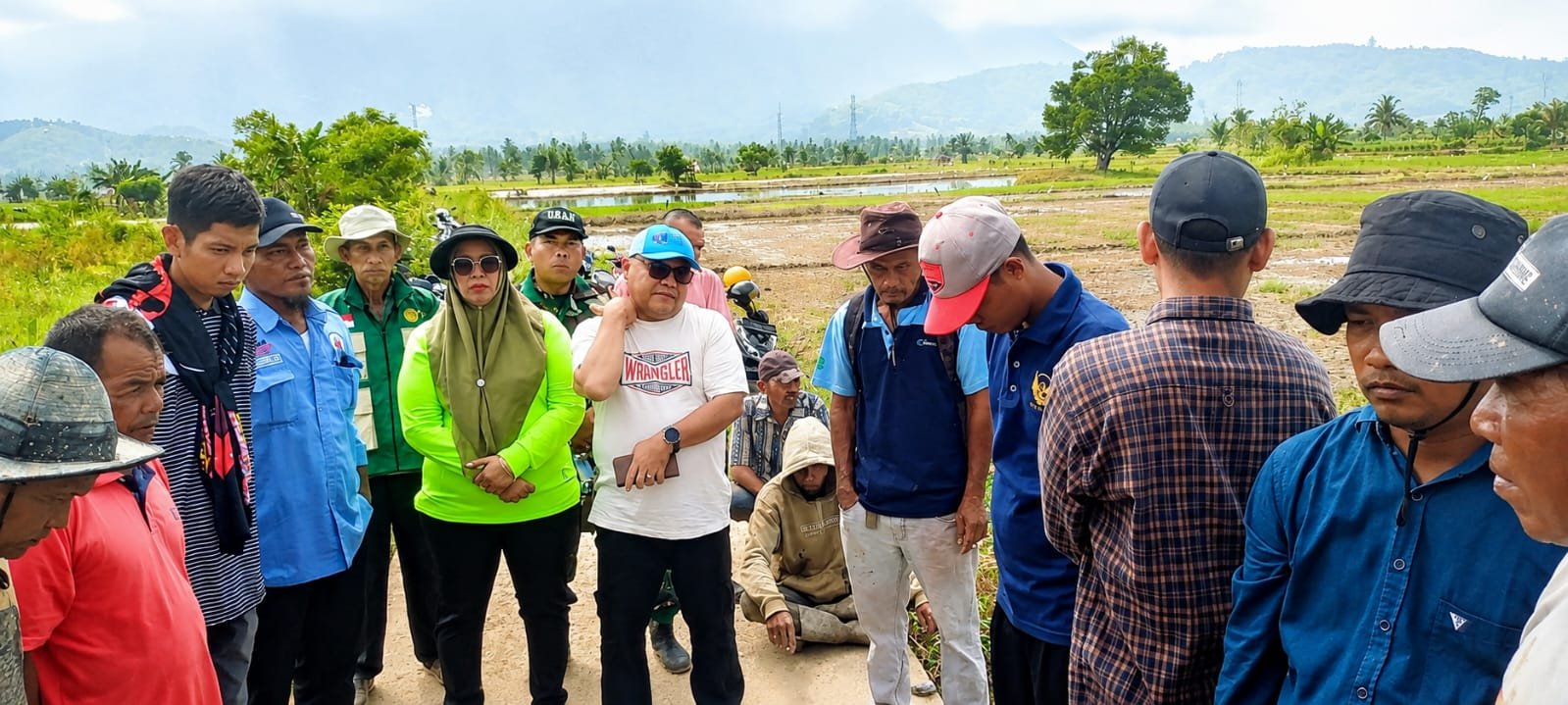 Serangan Hama Tikus