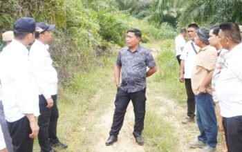 Tinjau Akses Jalan