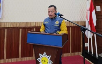 DPP AMPI