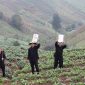 UU Reforma Agraria